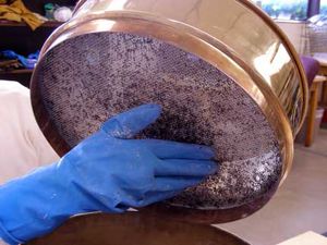 sieve
